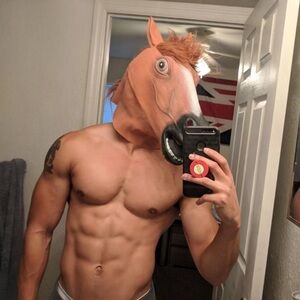 Masquerade Brown Horse Mask